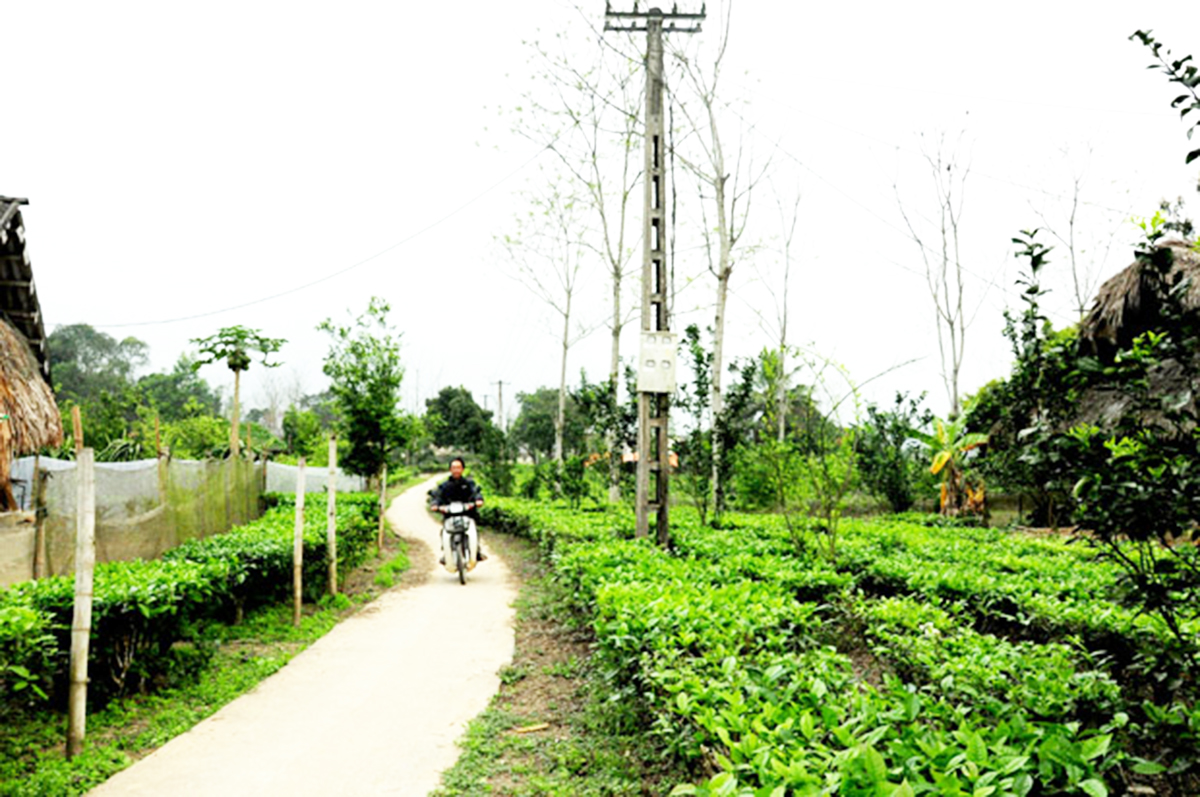 Có một nông thôn xanh ở Hà Giang