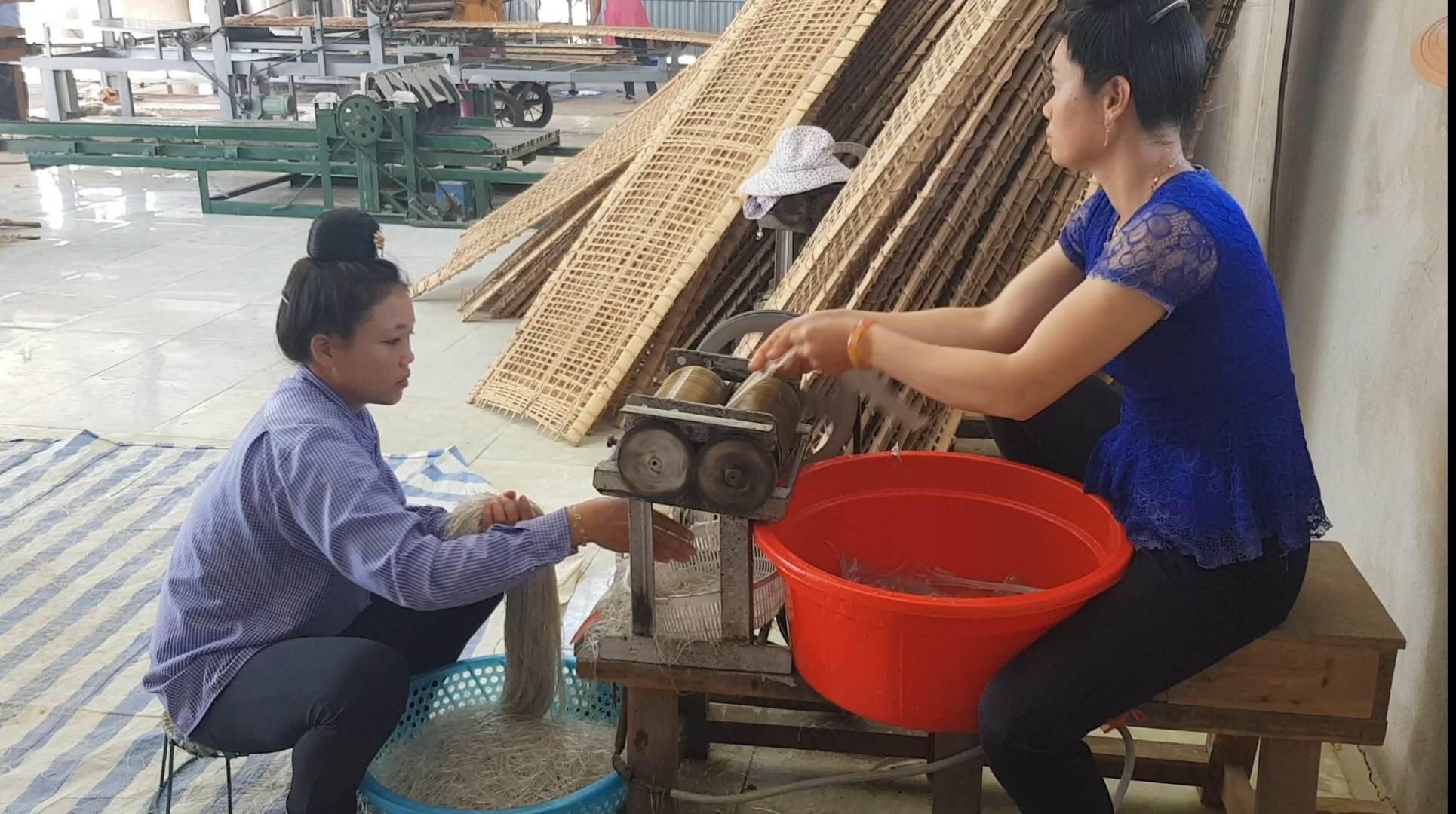 ‘Thổi luồng gió mới’, HTX Hồng Phước giúp nhiều người dân tộc thiểu số có việc làm, thu nhập ổn định