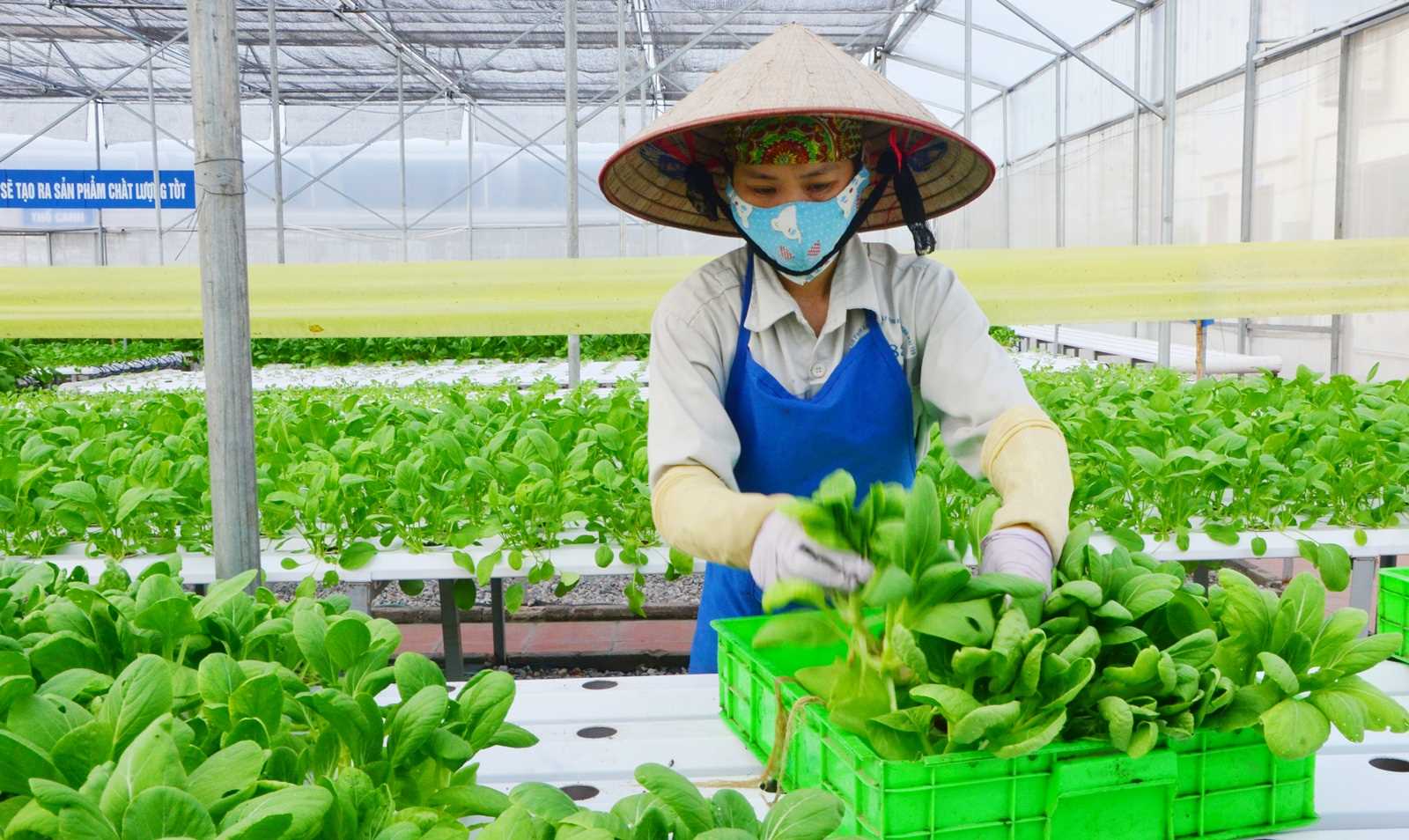 HTX trước xu hướng 'healthy food'
