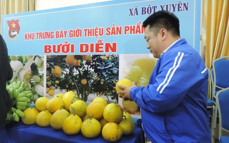 OCOP tạo sức vươn cho nông thôn mới Mỹ Đức