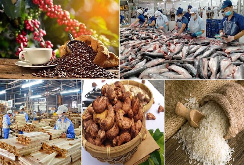 Xuất khẩu nông sản giảm mạnh, nhiều doanh nghiệp chưa có đơn hàng mới