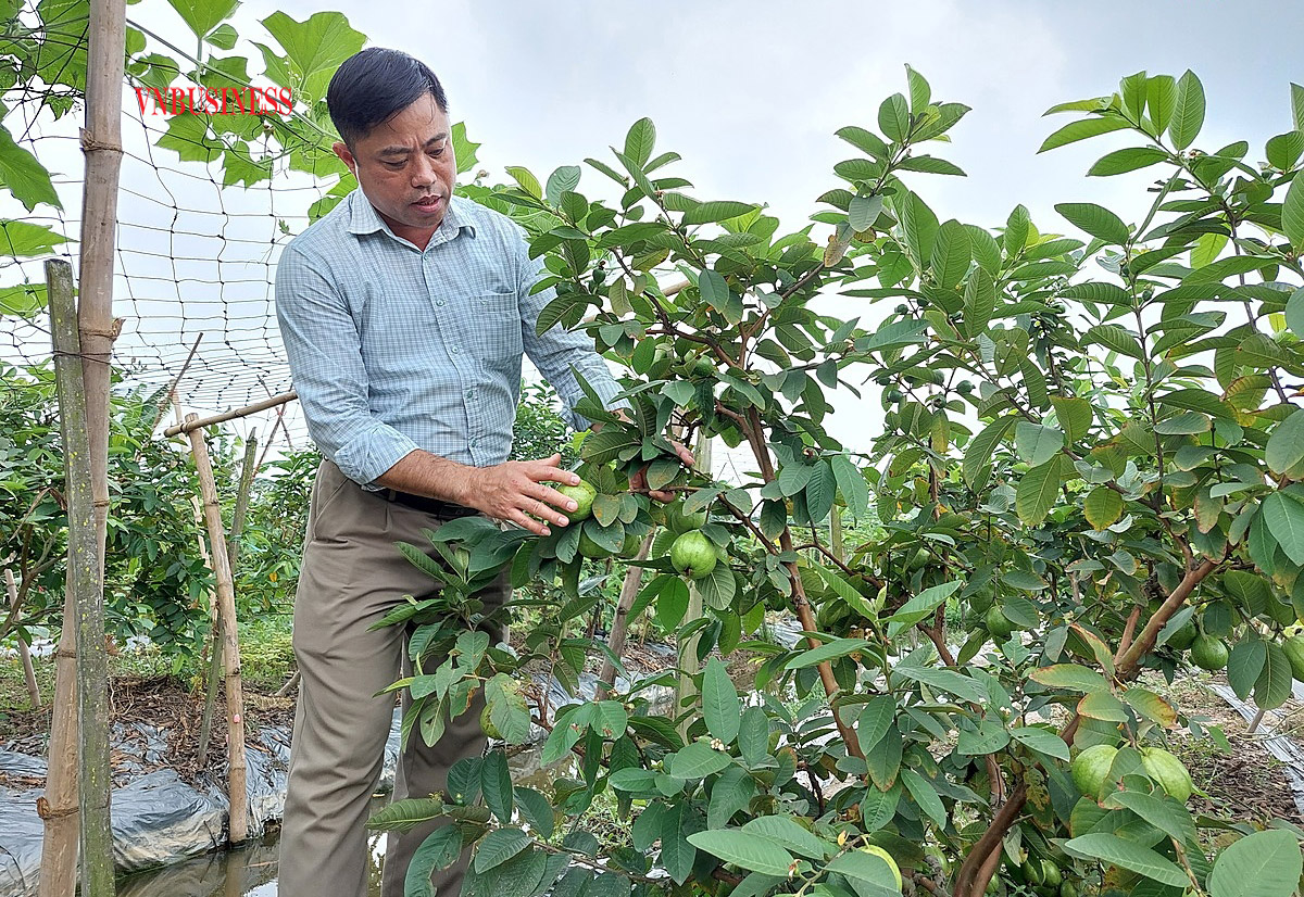 HTX thành công nhờ chiến lược đa dạng hóa các loại hình dịch vụ