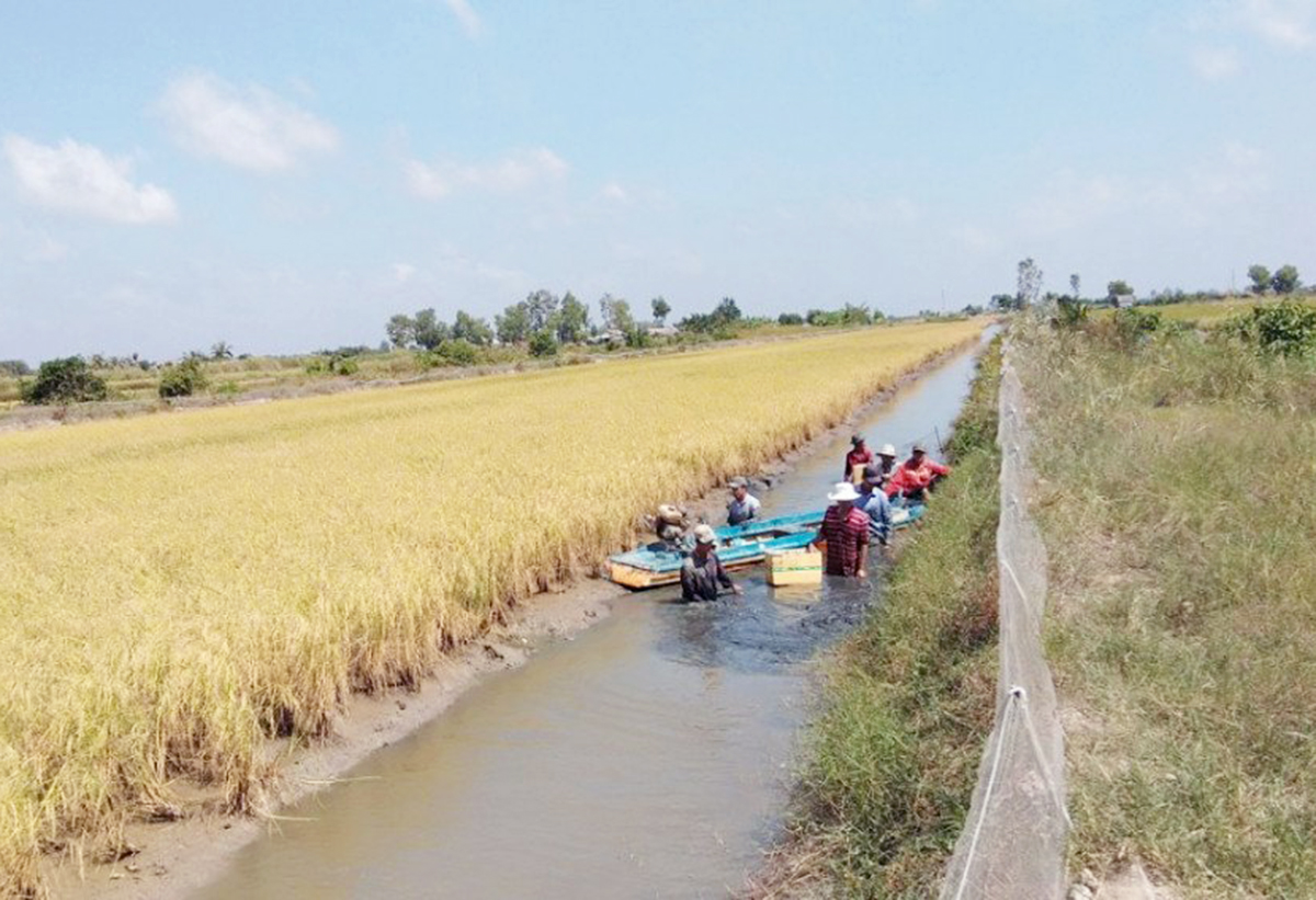 OCOP 'cất cánh' trên đất mũi Cà Mau