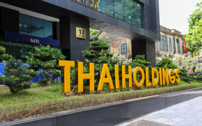 Các chỉ tiêu kinh doanh giảm sâu, vì sao Thaiholdings vẫn thoát lỗ trong quý I?