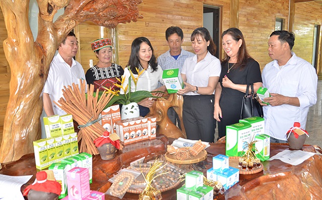 Cây quế và nông thôn mới đã giúp Văn Yên đổi thay như thế nào?