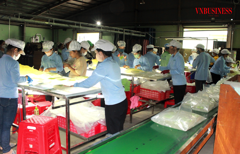 Nền chi phí tăng giữa lúc nhu cầu thấp kéo dài đang làm doanh nghiệp Việt bế tắc