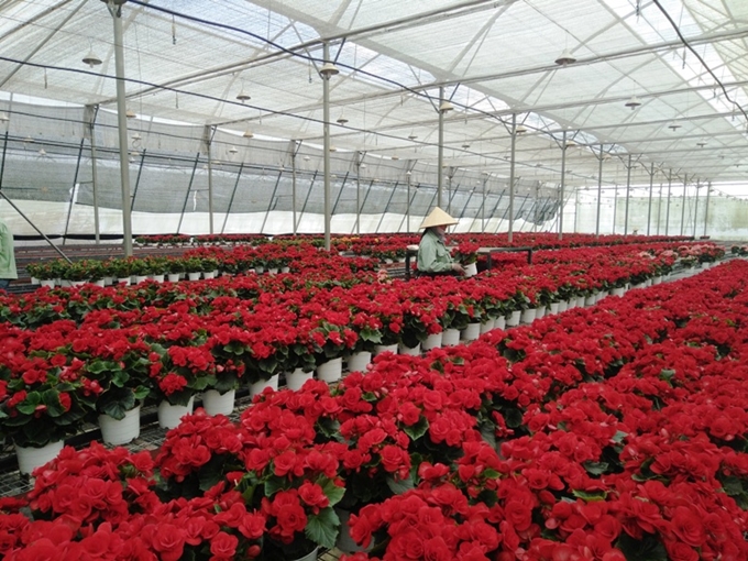 Giải bài toán liên kết giữa HTX và doanh nghiệp