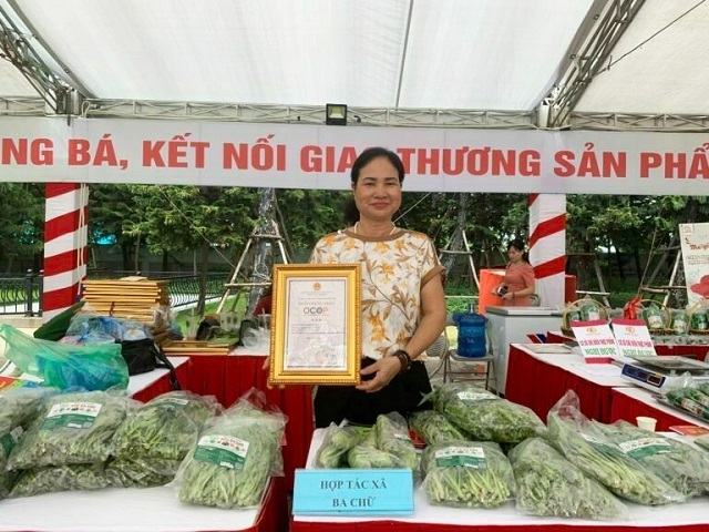 Phát triển bền vững với mô hình HTX nông nghiệp xanh