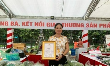 Phát triển bền vững với mô hình HTX nông nghiệp xanh