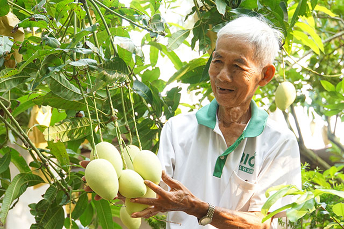 Tạo đòn bẩy cho sản phẩm OCOP tỉnh Đồng Tháp