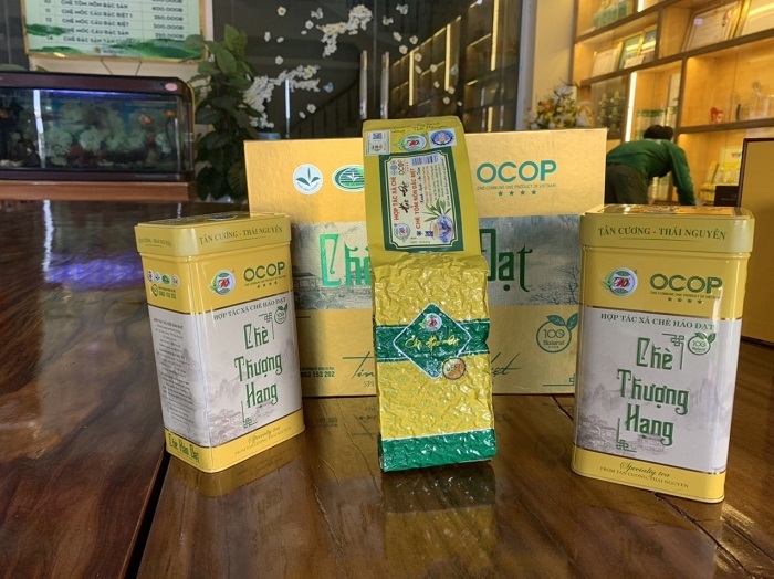 Nhờ trồng sản vật quê hương, HTX có doanh thu hơn chục tỷ đồng/năm