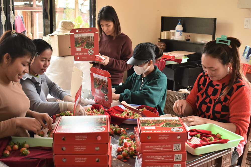 HTX trên con đường hoàn thiện bao bì