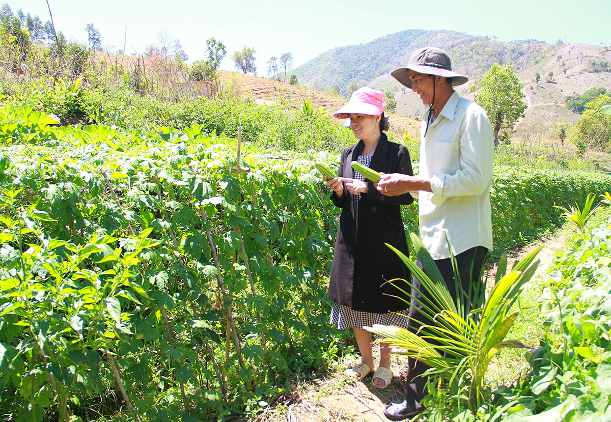 Những mô hình liên kết làm giàu ở Kon Rẫy