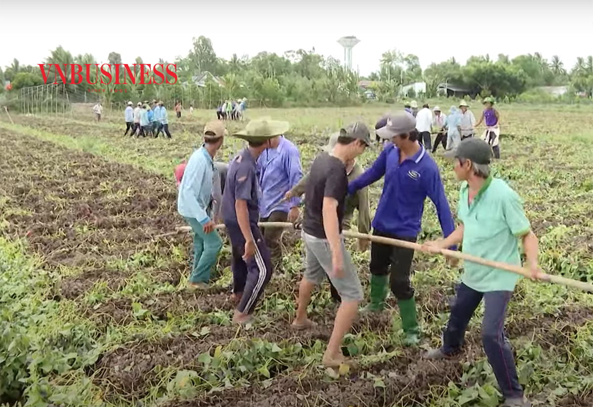 HTX khó vượt 'rào cản' đầu tư vào nông nghiệp hiện đại