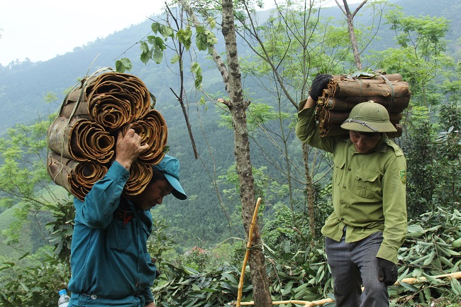 Kinh tế hàng hóa lớn mạnh ở vùng núi Tân Đồng