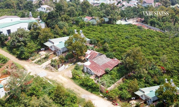Lâm Đồng bỏ cấm tách thửa, nhà đầu tư ngóng ‘sóng’ để thoát hàng