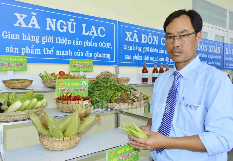 Nông dân Ngũ Lạc liên kết hỗ trợ nhau phát triển kinh tế bền vững