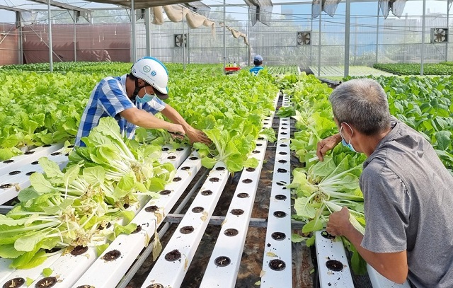 Nâng cao giá trị sản phẩm từ sản xuất nông nghiệp thông minh