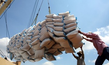 Việt Nam giảm xuất khẩu gạo còn khoảng 4 triệu tấn vào năm 2030