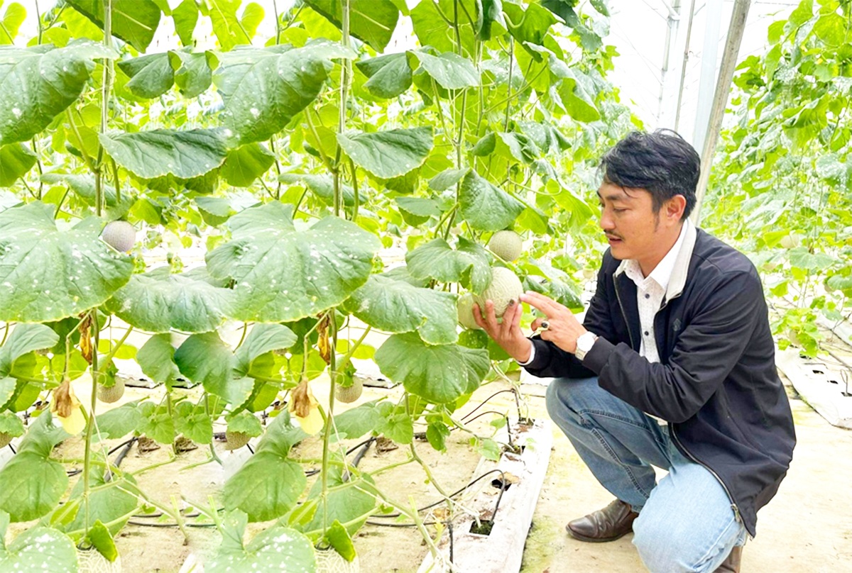 Nông dân xứ Nghệ tự tin làm nông nghiệp sạch