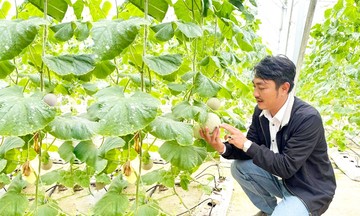 Nông dân xứ Nghệ tự tin làm nông nghiệp sạch