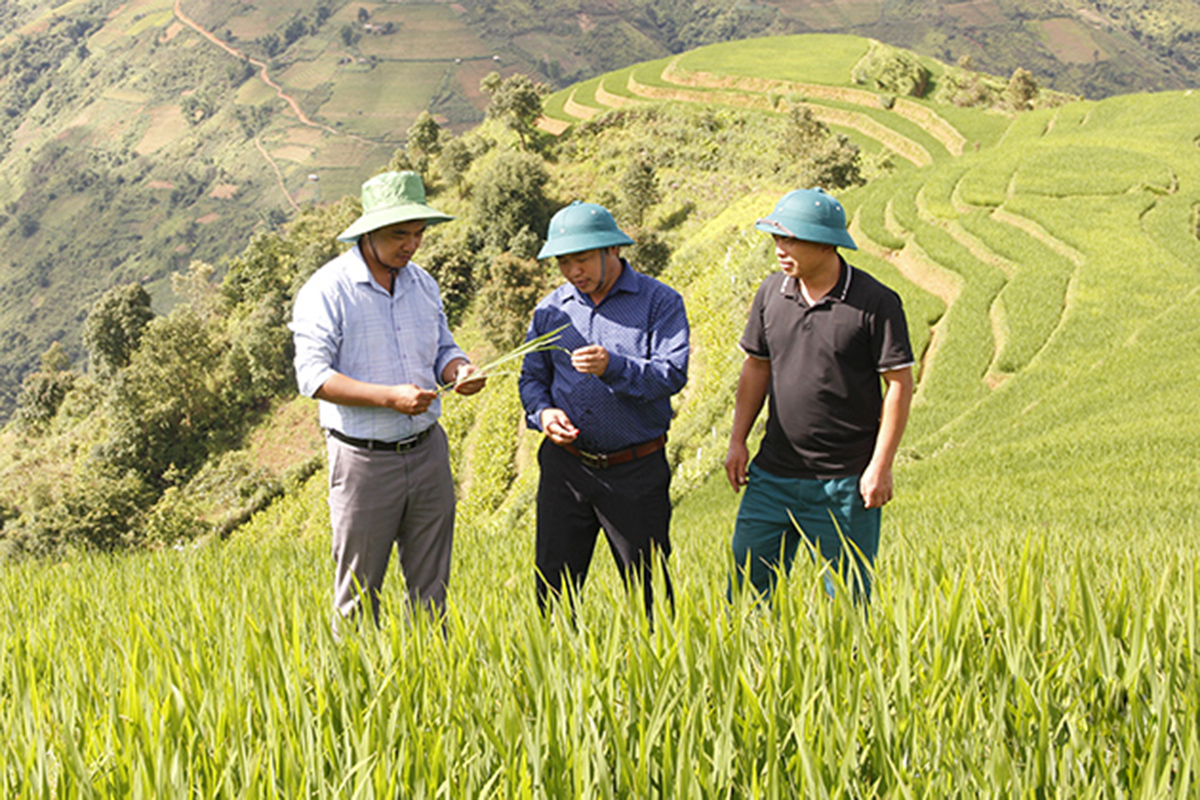 Động lực giúp nông thôn Bắc Yên 'thay da đổi thịt'