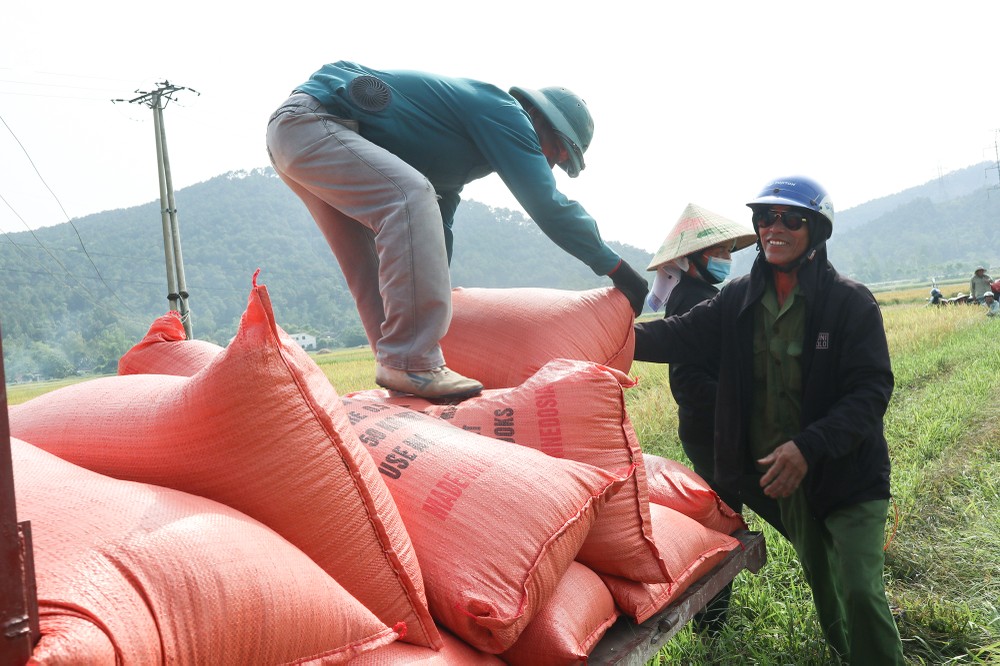 Nóng nạn bảo kê máy gặt vì thiếu 'bóng' HTX