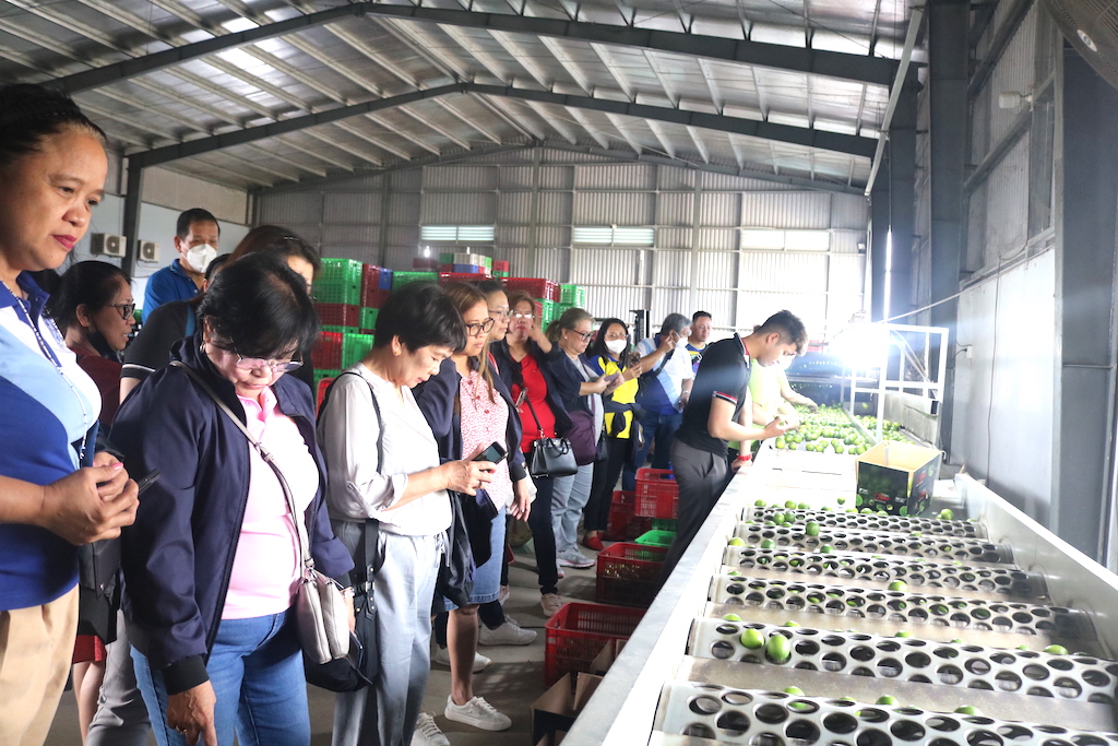 Cùng HTX trồng chanh giúp nông dân Bến Lức hái ‘quả ngọt’