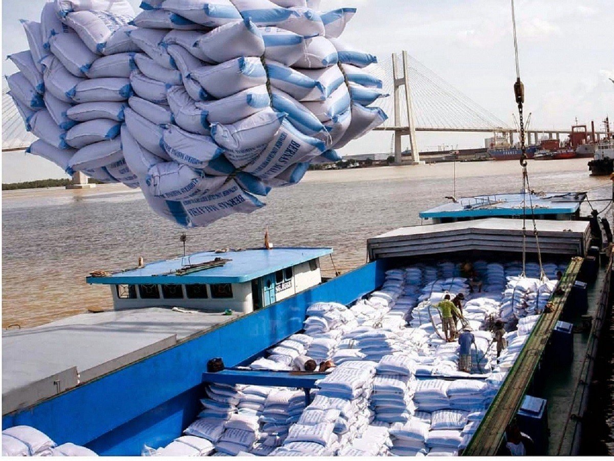Giá gạo xuất khẩu cao nhất 10 năm, đâu là những thị trường tiềm năng cho gạo Việt trong nửa cuối năm?