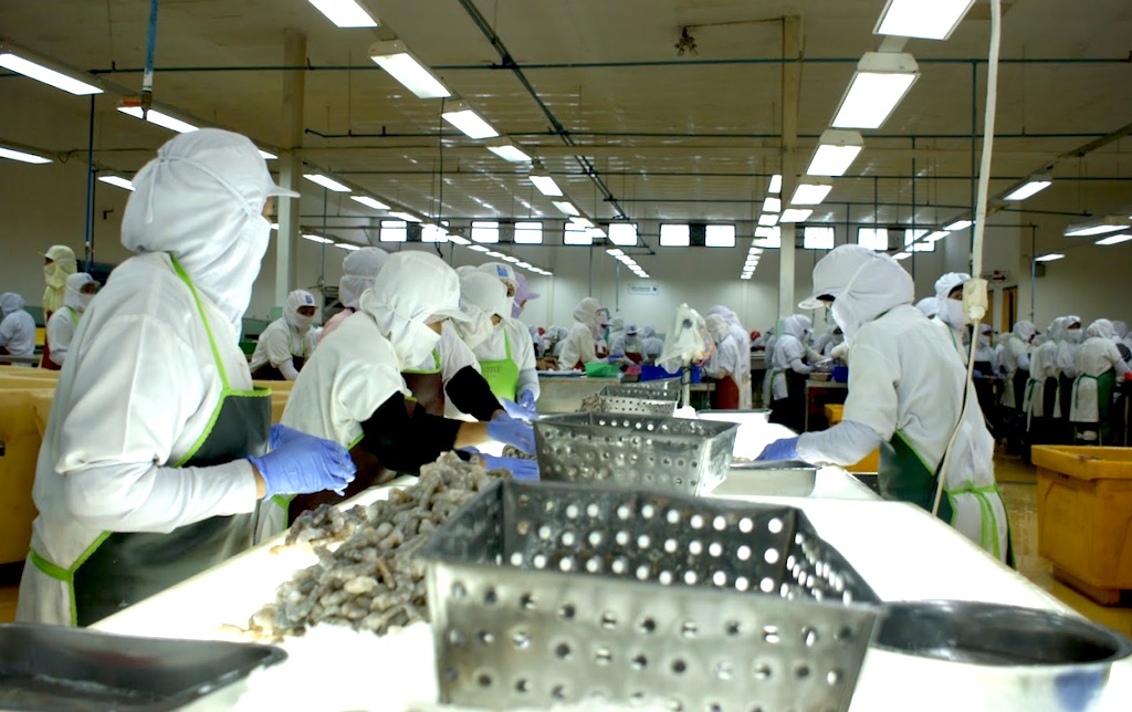 Chờ chiến lược ưu tiên cho ngành thủy sản Việt vượt khó