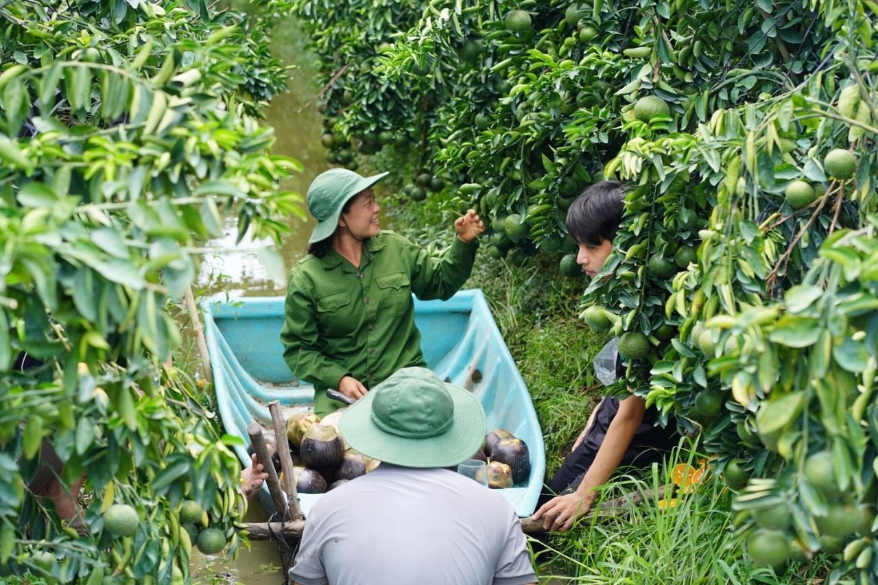 Thay đổi tư duy hệ thống để phát triển HTX xứng tầm