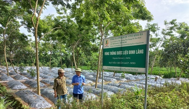 Quỳnh Phụ gắn xây dựng NTM với phong trào thi đua