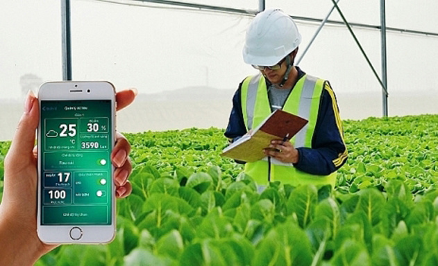 Nông dân dùng smartphone làm chuyển đổi số nông nghiệp