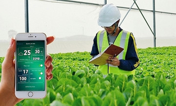 Nông dân dùng smartphone làm chuyển đổi số nông nghiệp