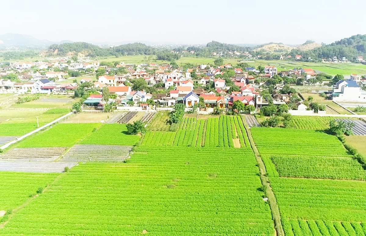 Chờ ‘cú nước rút’ trong xây dựng nông thôn mới ở Hậu Lộc