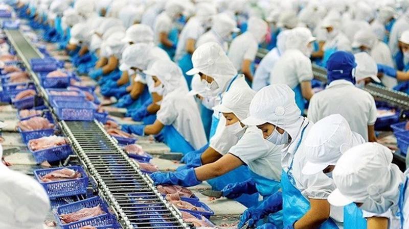 Cổ phiếu thủy sản có 'trở mình' trong những tháng cuối năm 2023?