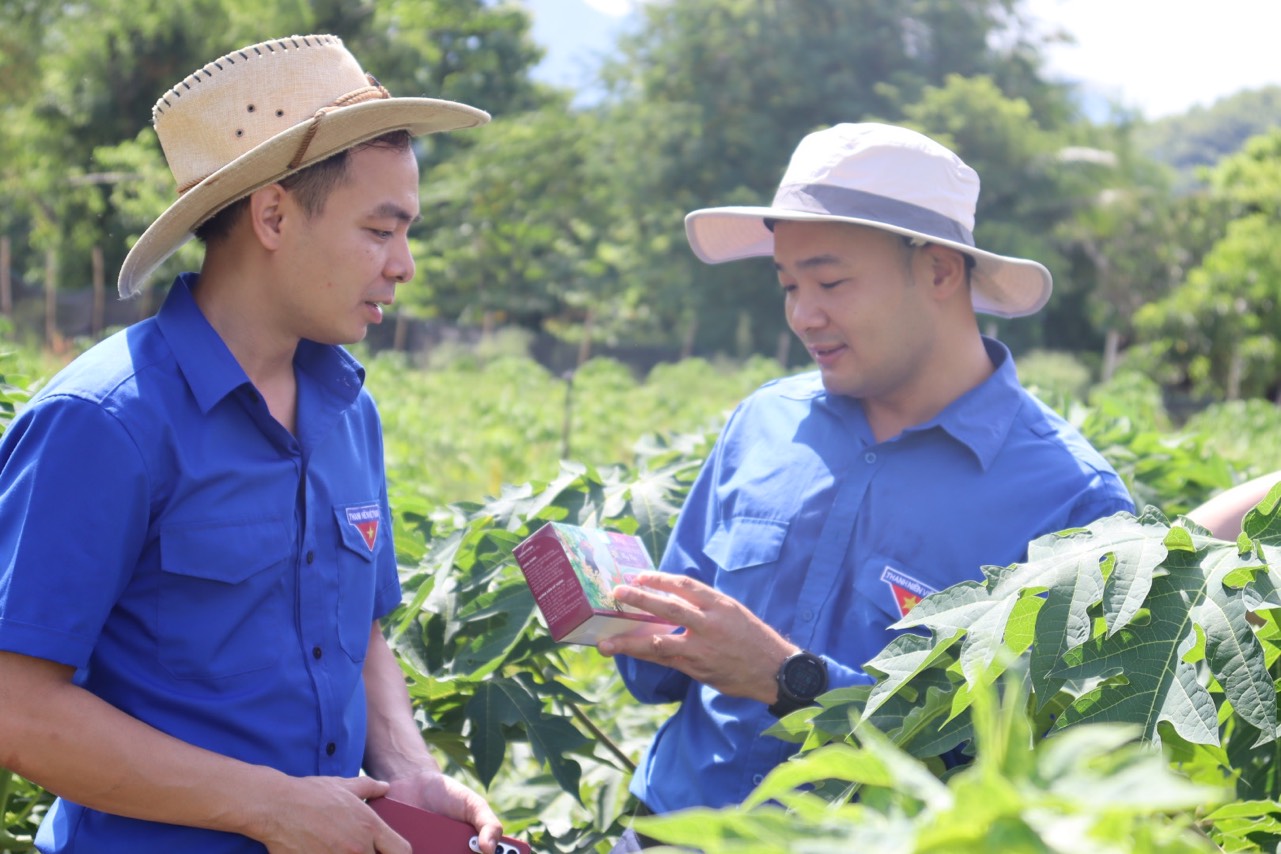 Thanh niên dân tộc thiểu số khởi nghiệp, tìm việc làm từ mô hình HTX