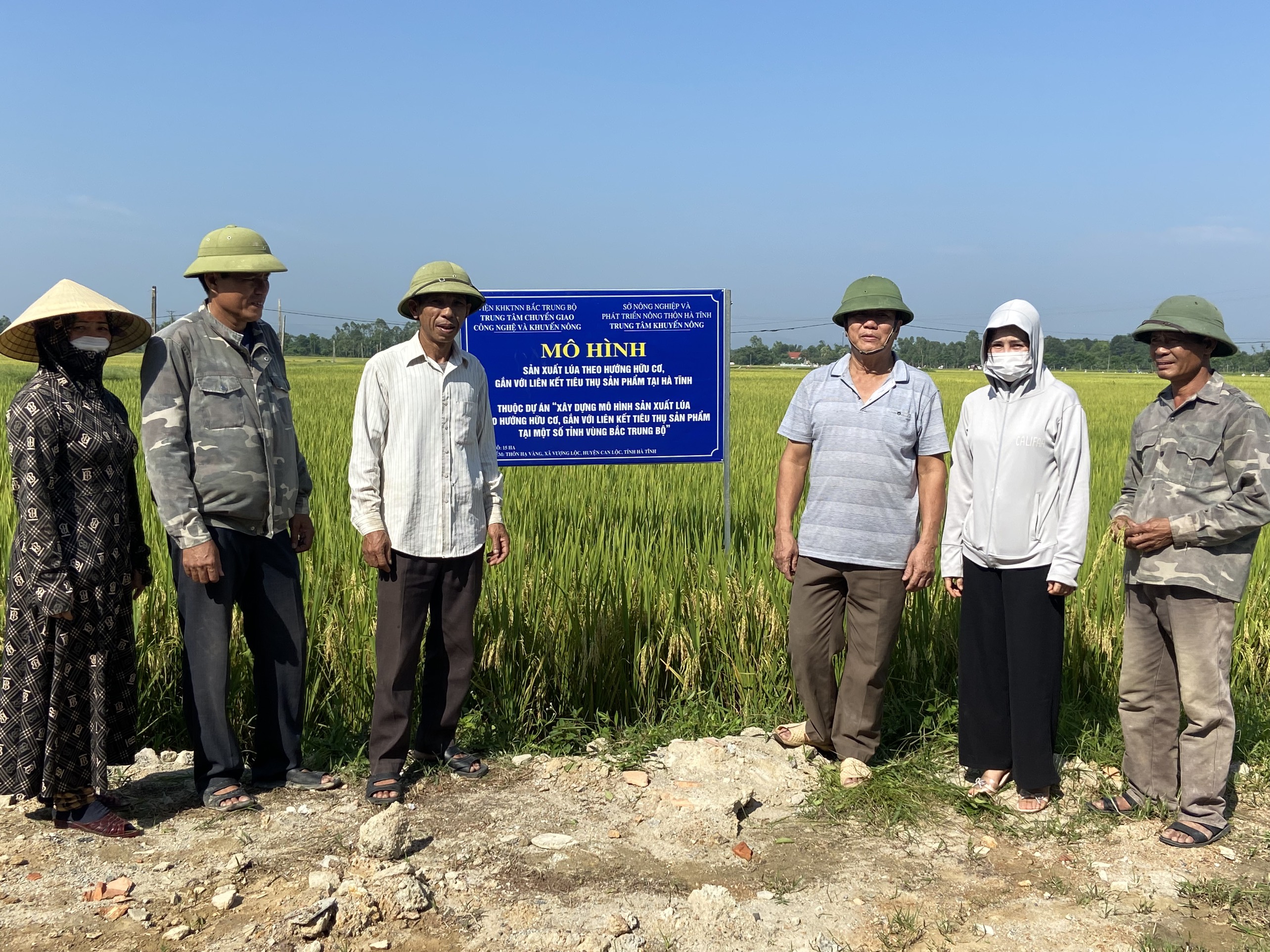 Liên kết sản xuất giúp kinh tế tập thể ở Can Lộc đang 'đi qua những ngày nắng'