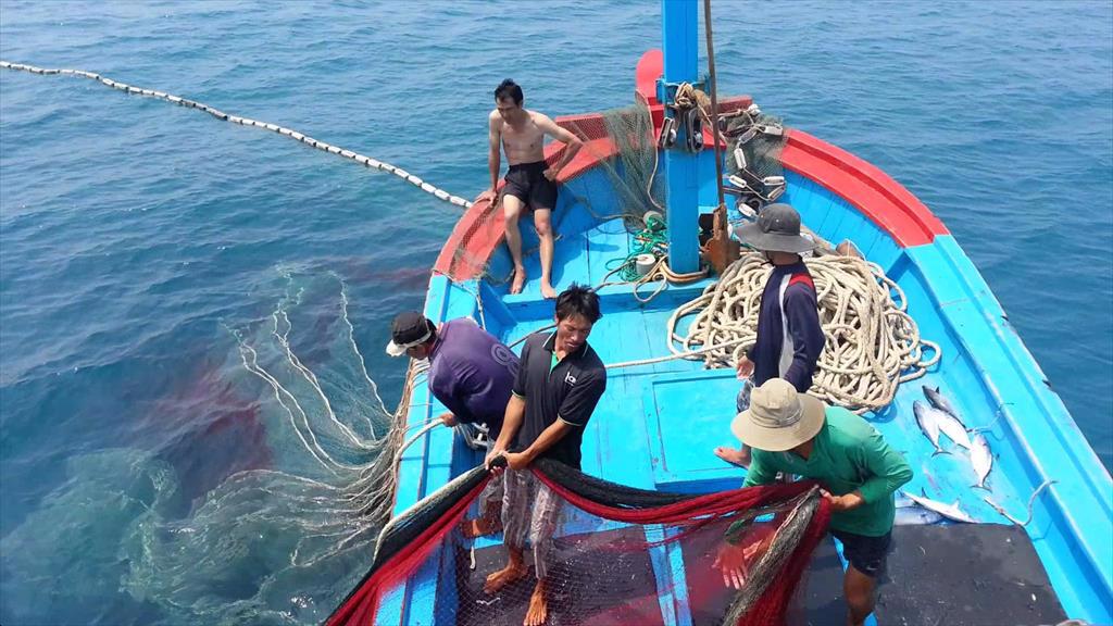 Siết chặt nguồn gốc nông sản từ nỗi lo thủy sản gần 6 năm chưa gỡ được 'thẻ vàng'