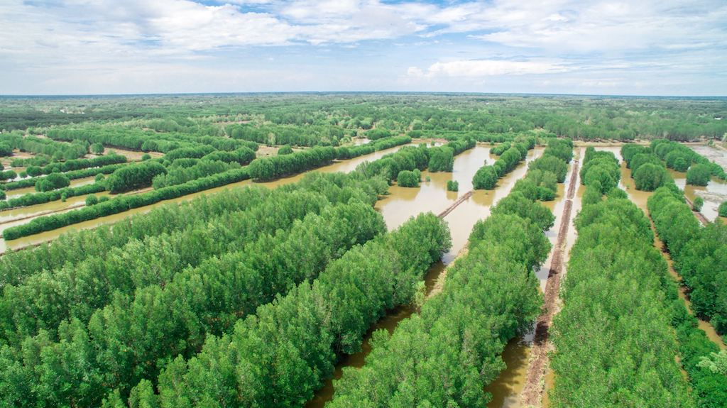 Phát triển chuỗi liên kết nuôi tôm sinh thái giúp người dân vùng đất Ngọc Hiển thoát nghèo bền vững