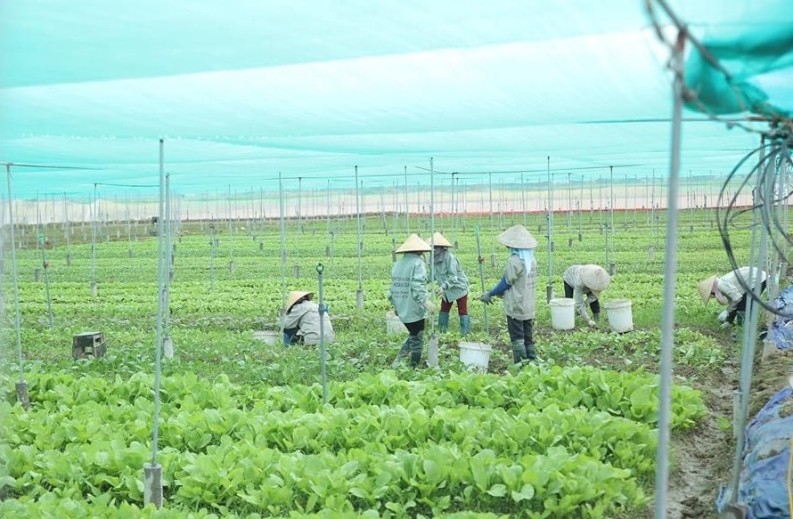 Hà Nội bứt phá xây dựng nông thôn mới
