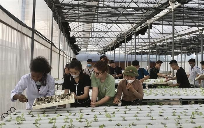 Nhân lực chất lượng cao: Bài toán sống còn cho HTX