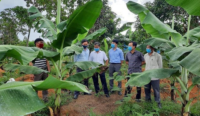 Thắp sáng 'ngọn lửa' thoát nghèo ở A Lưới