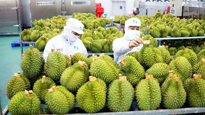 Bộ NN&PTNT dự báo gì về xuất khẩu nông sản sang Trung Quốc?