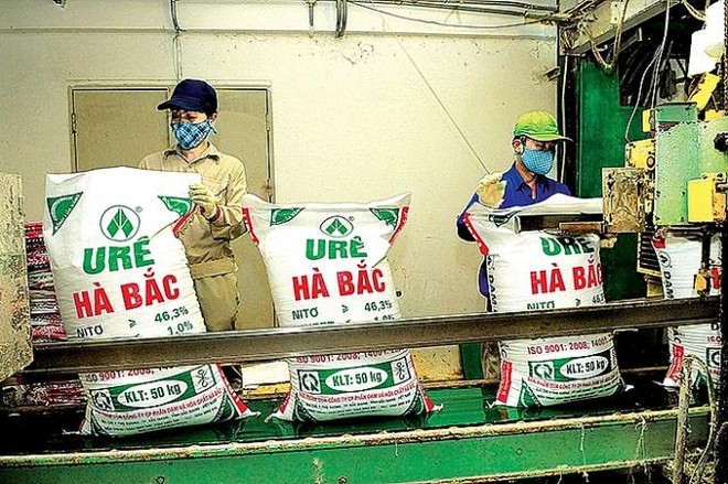 Đạm Hà Bắc báo lỗ trước thuế hơn 350 tỷ đồng