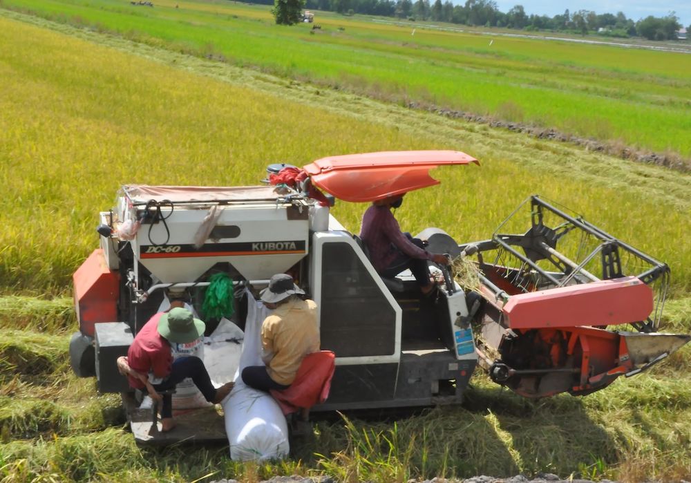 Được bao tiêu sản phẩm đầu ra, cuộc sống của nông dân Tây Ninh cải thiện rõ rệt