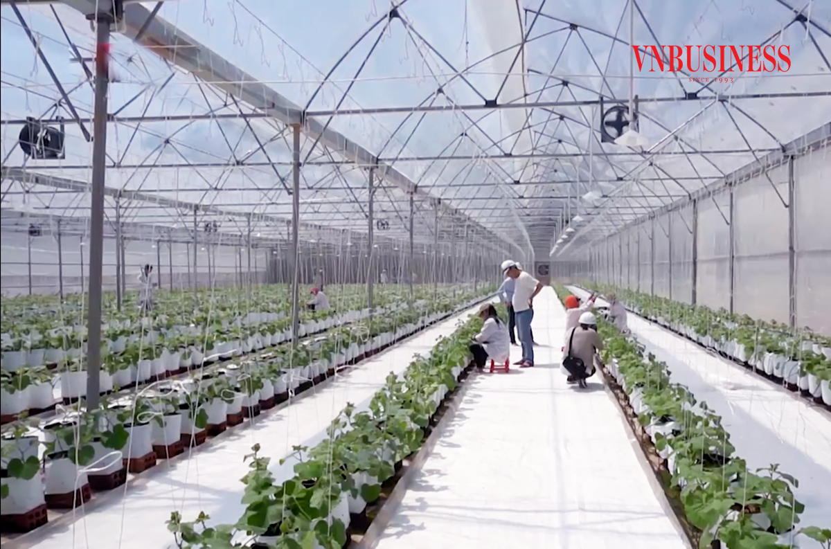 Nâng cao giá trị sản xuất trong xây dựng nông thôn mới ở Thừa Thiên Huế