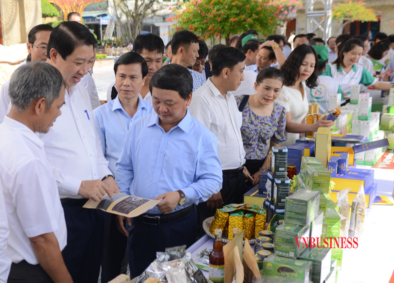 Phát huy thế mạnh của HTX trong kinh tế dược liệu