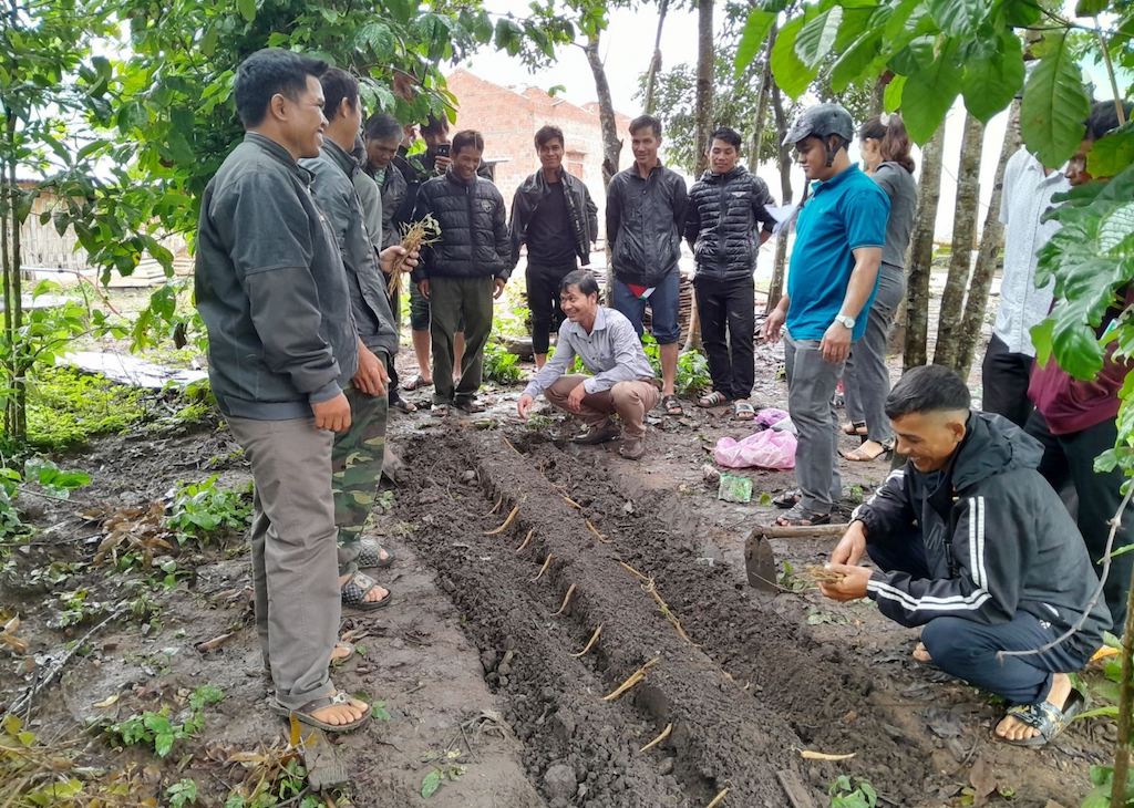 Bà con dân tộc thiểu số theo đạo Tin lành góp sức đưa thôn làng ở Đắk Pék ngày thêm khởi sắc
