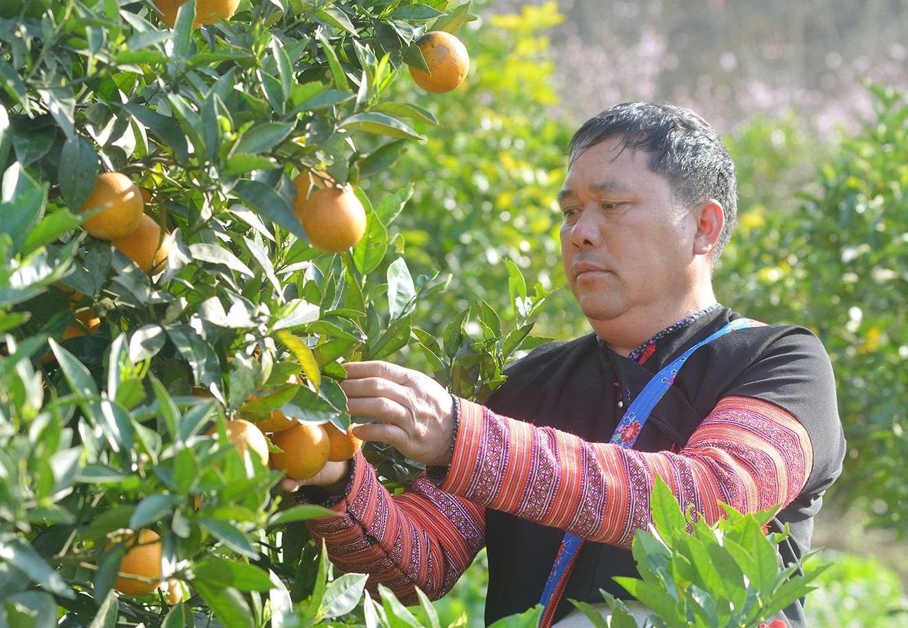 Sản xuất bền vững mở cánh cửa cho nông sản miền núi